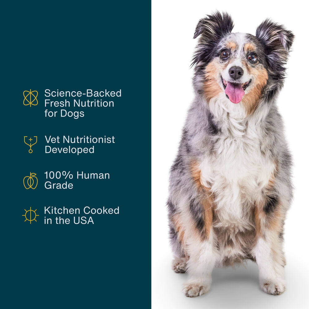 Variety Pack - Puppy 18 oz (7 Pack)